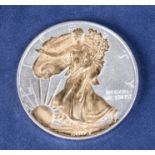 A one ounce silver eagle dollar gilded with 22ct gold 2005
