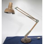An anglepoise lamp.