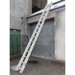 Extension Ladder