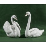 Two Lladro swans