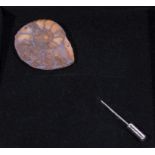 Ammonite fossil stick pin