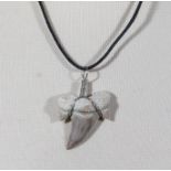 Otodus shark tooth fossil necklace