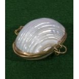 Edwardian polished shell pill box