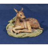 Border Fine Arts roe deer foal