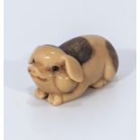 A Tagua nut netsuke of a pig