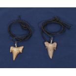 Two fossil Otodus shark tooth pendants