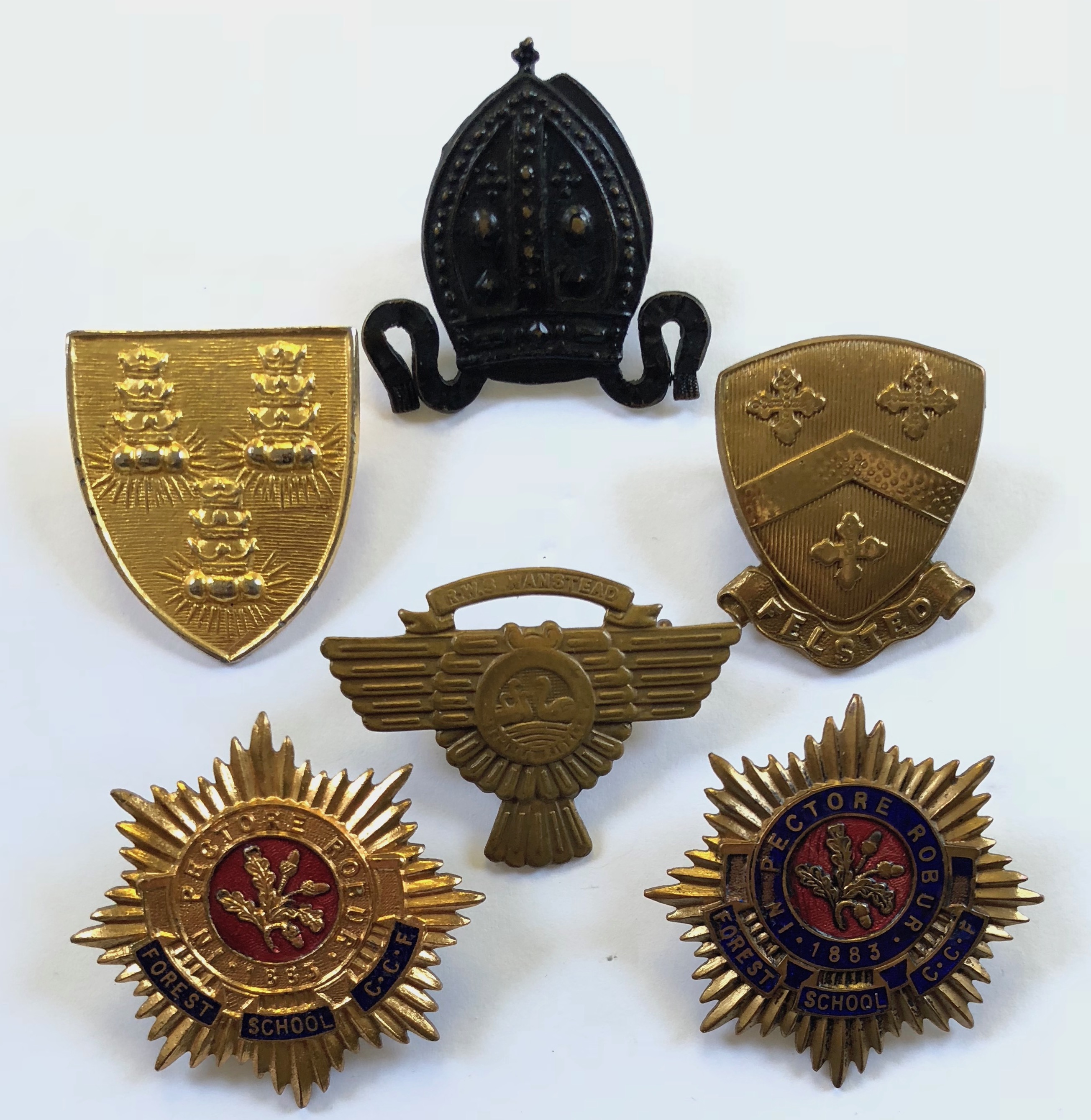 6 various Essex Cadet cap badges.