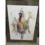 Anne Searle, pheasants, a still life watercolour, 29 x 20 1/2, framed