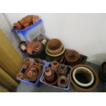 A large quantity of terracotta flower pots and ceramic jardinieres