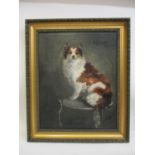 Vivian Evans - 'Cyp Nov 1906' a study of a collie cross sat on a table, oil on canvas, signed