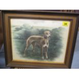 A framed and glazed pastel of a greyhound