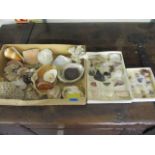 An interesting assortment of specimen rocks, fossils and shells to include an abalone, pearlized