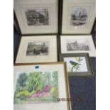 Judy Minter - Savill Gardens in Spring, watercolour, signed lower left, mounted and framed 12 1/2" x