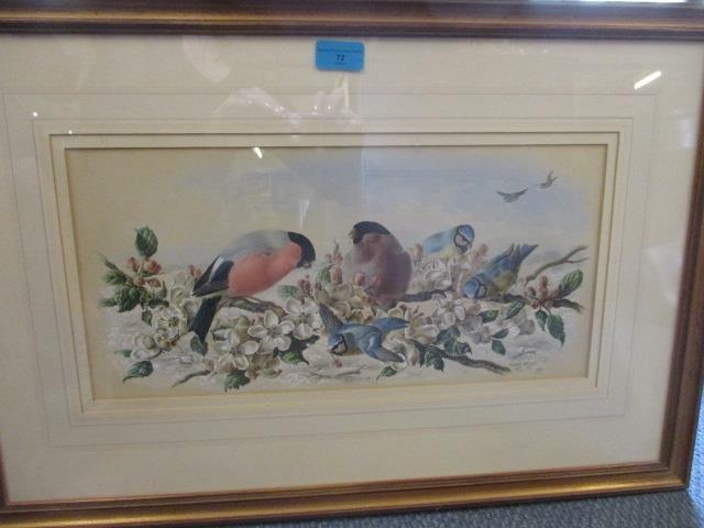 Harry Bright 1891 - a framed and glazed watercolour depicting bullfinches and bluetits, 8 1/2" x