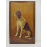 Attributed to Oliver Perry - a study of a foxhound, oil on panel, 26" x 15 3/4", unframed