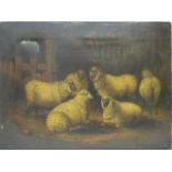 Mid 19th century British School - a barn interior scene with six sheep, oil on canvas, 12" x 16" ,