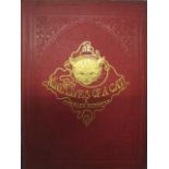 Charles Bennett - The Nine Lives of a Cat, London Griffith and Farran c 1860, 1st ed, hand