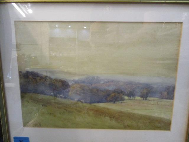 M S Hogarty - A watercolour landscape depicting cows to the foreground, 13 1/2" x 9 1/2", framed