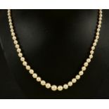 A single row of graduated Cultured Pearls on clasp close-set single old-cut diamond