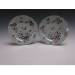 A pair of Chinese Export famille rose Plates with floral, fruit and leafage designs, 9in D