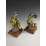 Two Royal Worcester porcelain bird Figures, Audubon Warbler Dendroica auduboni and Palo Verdi, one