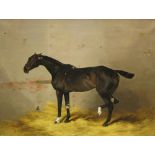 HENRY FREDERICK LUCAS LUCAS (1848-1943)'Pilot', a racehorse in a loose boxsigned, inscribed and