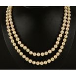 A double row of Cultured Pearls on 9ct gold clasp set pearl