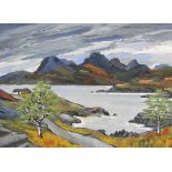 ‡DAVID BARNES (Contemporary)The Cuillins, Isle of Skyesigned on the reverse 'David Barnes'acrylic on