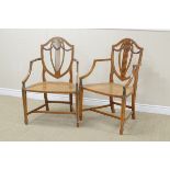 A pair of Sheraton style satinwood Elbow Chairs with floral painted shield backs, cane seats on