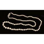 A single row of graduated Cultured Pearls on 9ct white gold clasp millegrain-set eight-cut diamonds