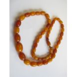 A graduated butterscotch Amber bead Necklace, approx 30gms