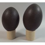 A Pair of Emu Eggs