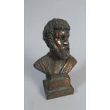 A Bronze Effect Bust of A Greek Gentleman,