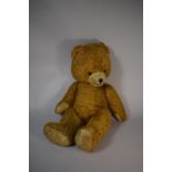 A Large Plush Teddy Bear, 78cm High