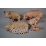 A Collection of Five Anysley Pig Ornaments