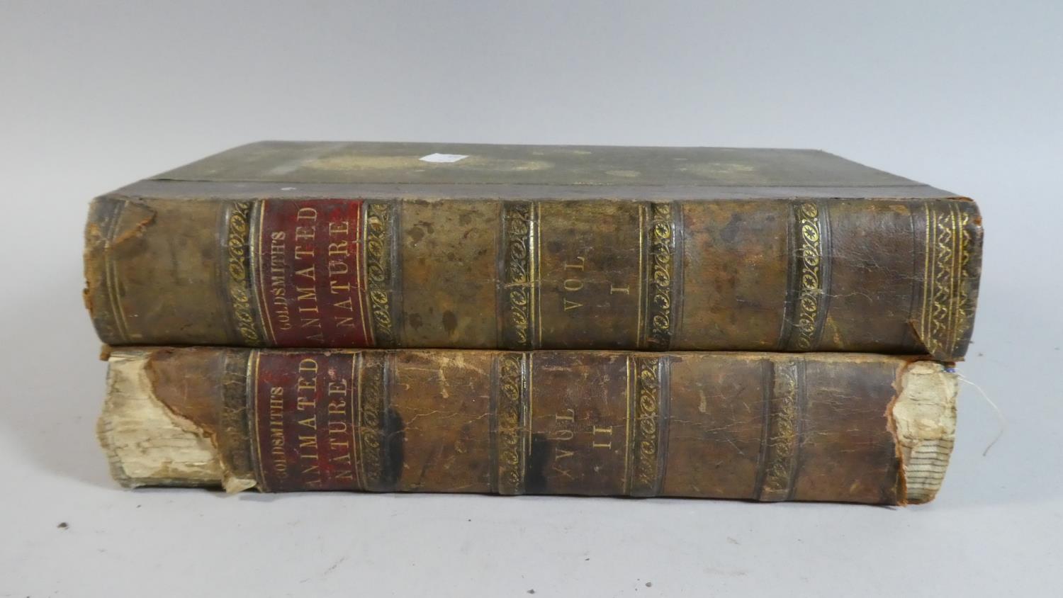 Two Bound Volumes, The History of the Earth and Animated Nature by Oliver Goldsmith Published by A