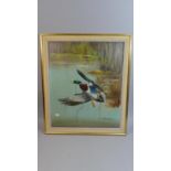 A Framed Oil on Canvas Signed Edward Ward Depicting Mallard Rising, 60cm High