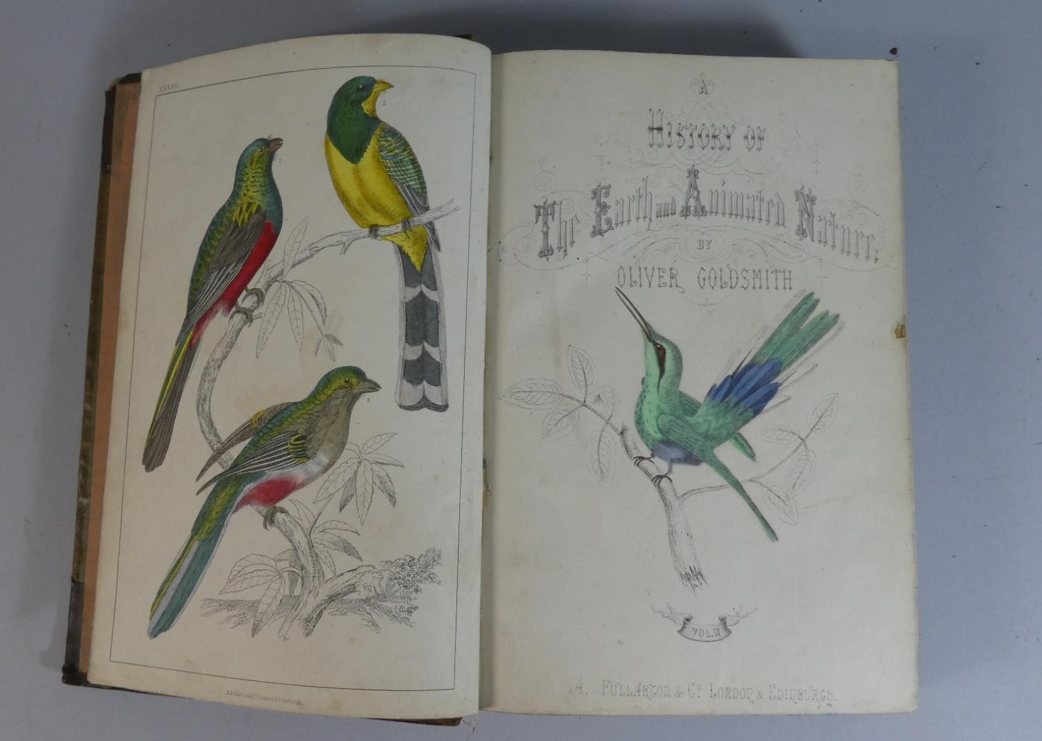 Two Bound Volumes, The History of the Earth and Animated Nature by Oliver Goldsmith Published by A - Image 4 of 5