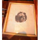 A Framed 19th Century Drawing of a Poodle