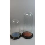 Two Glass Taxidermy or Clock Domes on Circular Wooden Plinths, 40cm and 30cm High