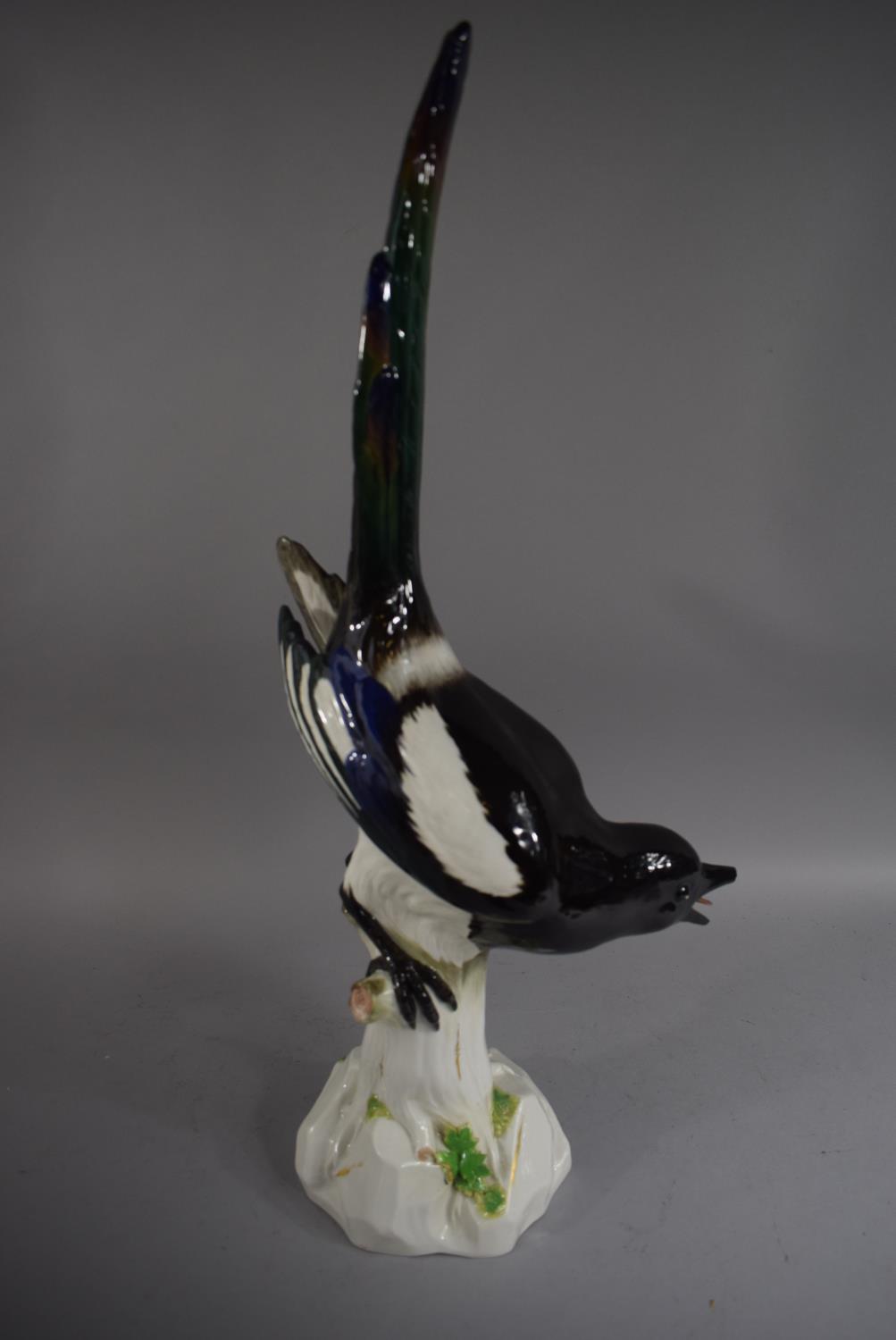 A Large Meissen Porcelain Figure of a Magpie (Beak and Tongue AF) 54cms High - Image 3 of 4