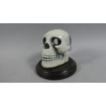 An Early 20th Century Pottery Pastille Burner Modelled as a Human Skull. 12cms High