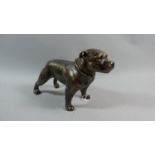 A Large Heavy Bronze Effect Study of a Pitbull Terrier, 32cm Long, Plus VAT