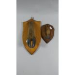 Two Sporting Trophies Mounted on Wooden Shield Plinths