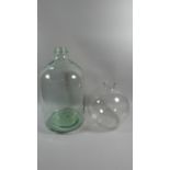 Two Glass Bottle Vases