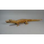 A Taxidermy Study of a Young Alligator, 72cm Long