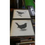 Two Framed Bird Prints