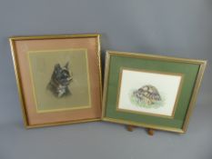 Pam Coombes, A Pair of Pastel Paintings, one depicting a tortoise named 'Rici' approx 44 x 38 cms,