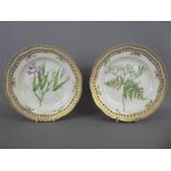 Royal Copenhagen Flora Danica Plates