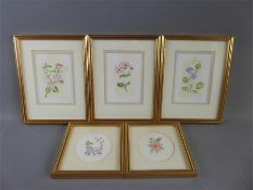 Five Original Nature Study Watercolours by Julia King